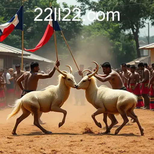 O Fascínio dos Jogos de Sabong: Tradição e Controvérsia